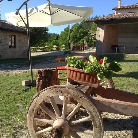 Aparthotel Alba Dei Due *