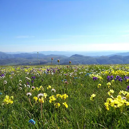 Bed & Breakfast Alba Dei Due 3*