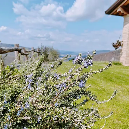 Bed & Breakfast Alba Dei Due 3*