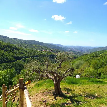 فندق مبيت وإفطار Alba Dei Due 3*