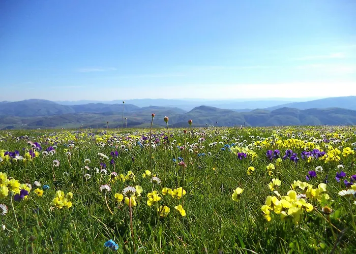 Bed & Breakfast Alba Dei Due 3*