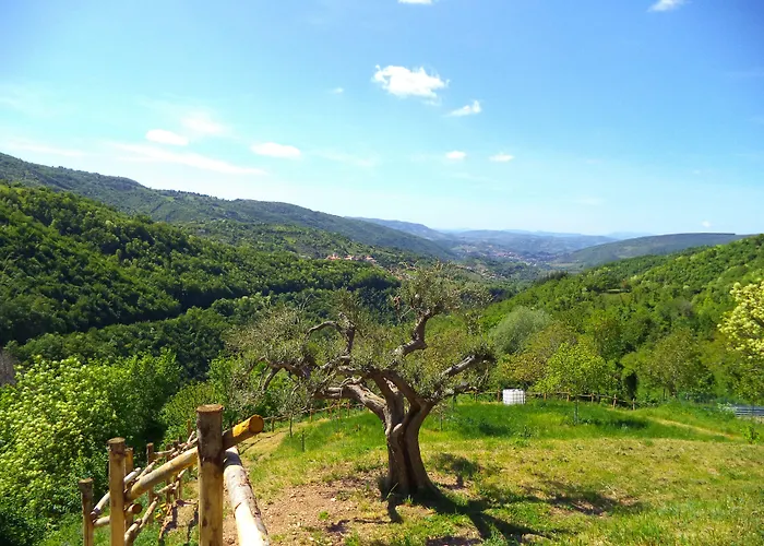 Bed & Breakfast Alba Dei Due 3*